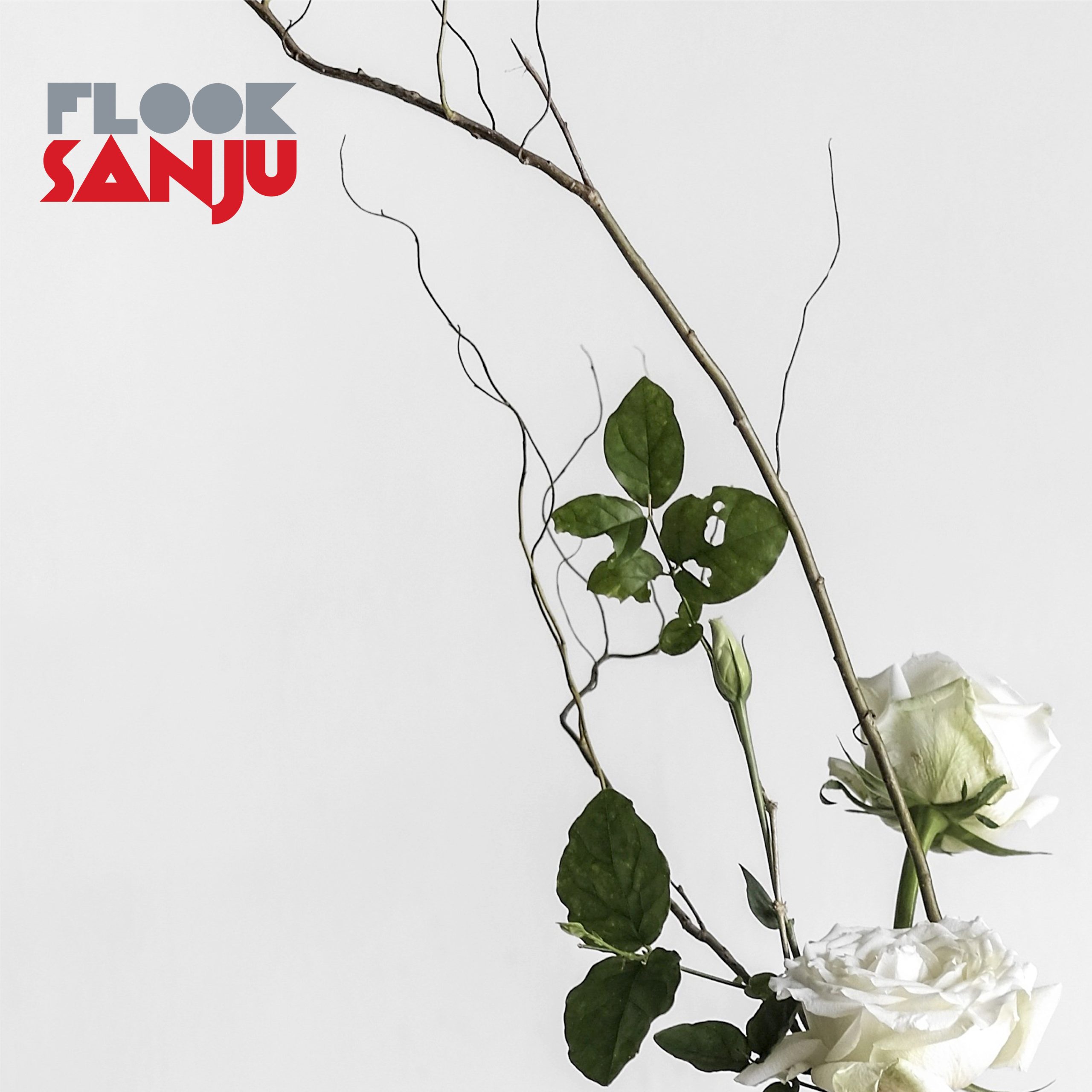 FLOOK Sanju | 30th anniversary 2025
